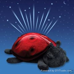 Amazing Star Sky Night Twilight Ladybug