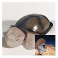 Twilight Turtle Soothing Night Light  1