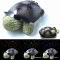 Twilight Turtle Night Light Star 1