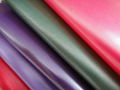 coating fabric