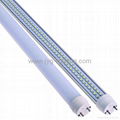 T8 LED Tube Light