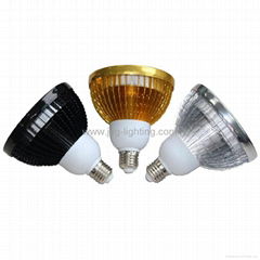 PAR38 12W LED Spotlight