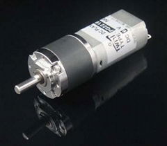 22mm PG22M180 DC Planetary Gear Motor