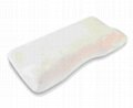 Healthman Memory Foam Correction Pillow