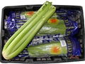 Fresh Celery 1