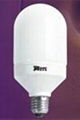 Column energy saving lamp