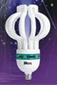 Lattern energy saving lamp 1