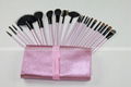 Makeup Brush Set with Luxury design in portable(EYP-B022) 3