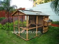 chicken coop / Large Wooden Chicken Ark