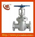 Jacketed Gate Valve