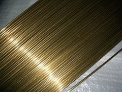 CuBe2Pb - C17300 DIN 2.1248 Beryllium Copper 