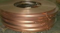 CuBe2 C17200 CDA 172 Beryllium Copper  3