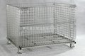 Collapsible storage cage