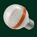 LED bulds light