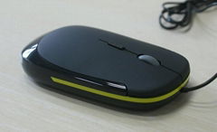 mouse