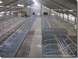 rubber sheet in dairy farms.