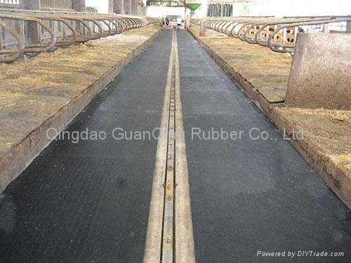 rubber sheet in dairy farms. 2