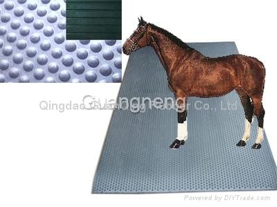 horse mat  2