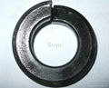 spring washers/fasteners 4