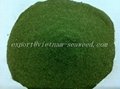 Dried Ulva Lactuca ( Green Seaweed) 3