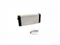 LiFePo4 electric bike battery 1