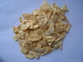 dehydrated garlic 2