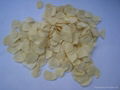 dehydrated garlic 3