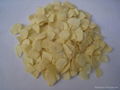 dehydrated garlic 4