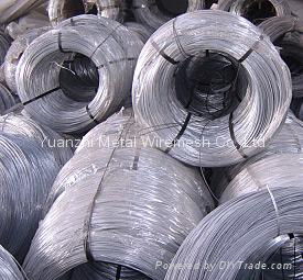 galvanized wire 3