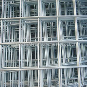 welded wire mesh 2