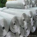 welded wire mesh 2