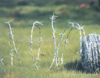 barbed wire 3