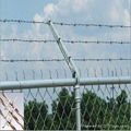 barbed wire fence 1