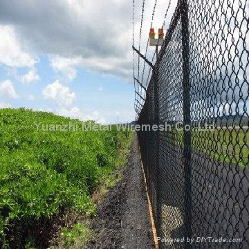 barbed wire fence 3