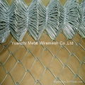 wire mesh 3