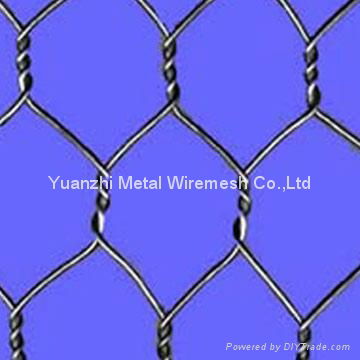 wire mesh 5