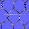 wire mesh 5