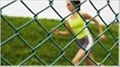 chain link wire mesh