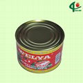 70g*100tins brix28-30 canned tomato