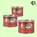 70g*100tins brix28-30 canned tomato paste 2