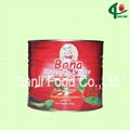 Brix 28-30 tomato paste in tin 1