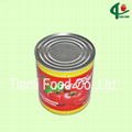 1000g tinned tomato paste factory 1