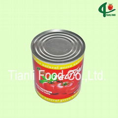 1000g tinned tomato paste factory