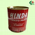 800g canned tomato paste 28-30 brix