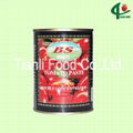 425g canned tomato paste 1