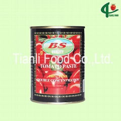 425g canned tomato paste