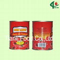 400g canned tomato paste 1