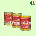 140g canned tomato paste 28-30