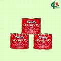 70g*50tins canned tomato paste 28-30