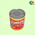 1.0kg tomato paste in tinplate 28-30% brix